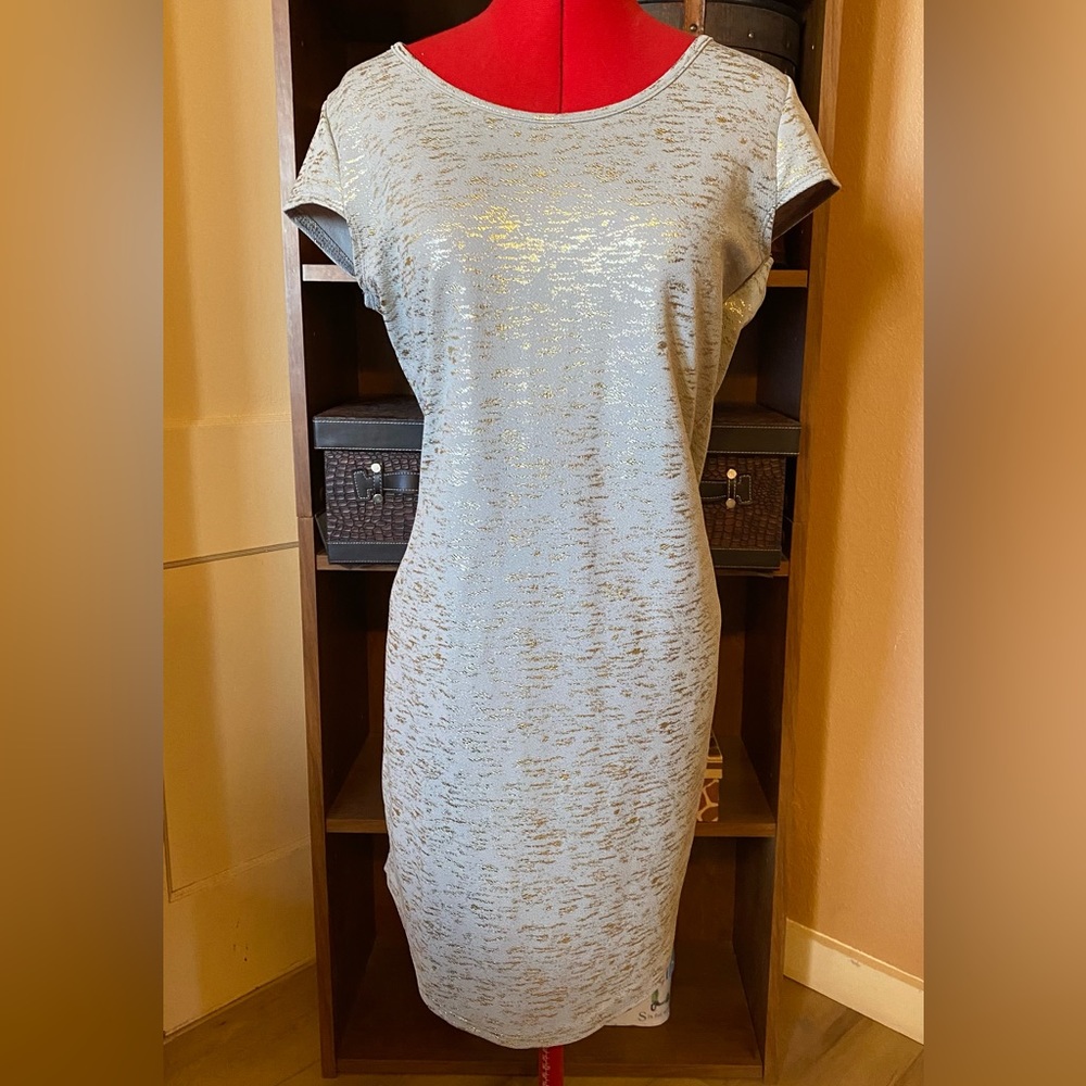 Espresso Gray and Gold Dress